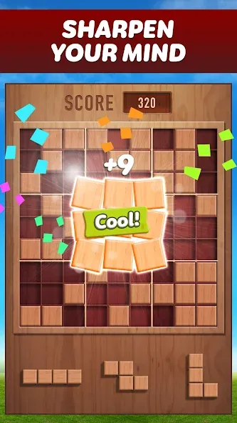 Woody 99 - Sudoku Block Puzzle (Вуди 99)  [МОД Mega Pack] Screenshot 1