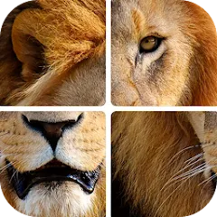 Взломанная Угадай животных по фрагментам  [МОД Unlimited Money] - стабильная версия apk на Андроид