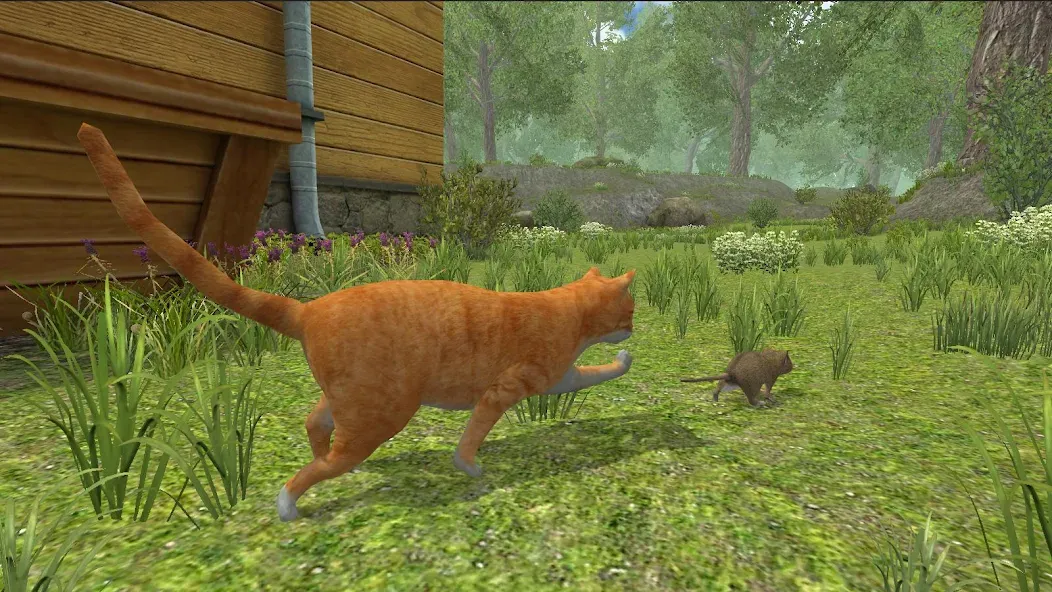 Mouse Simulator :  Forest Home  [МОД Mega Pack] Screenshot 3