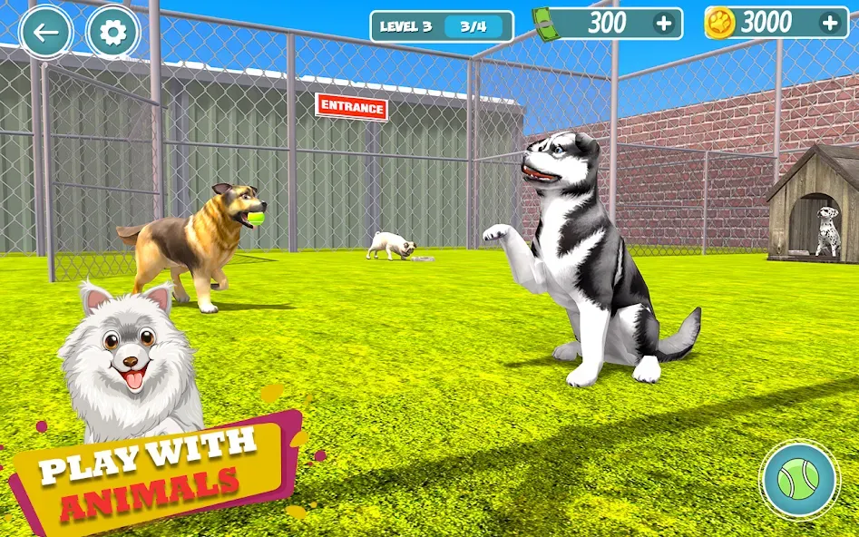 My Pet Animal Shelter World  [МОД Бесконечные деньги] Screenshot 1
