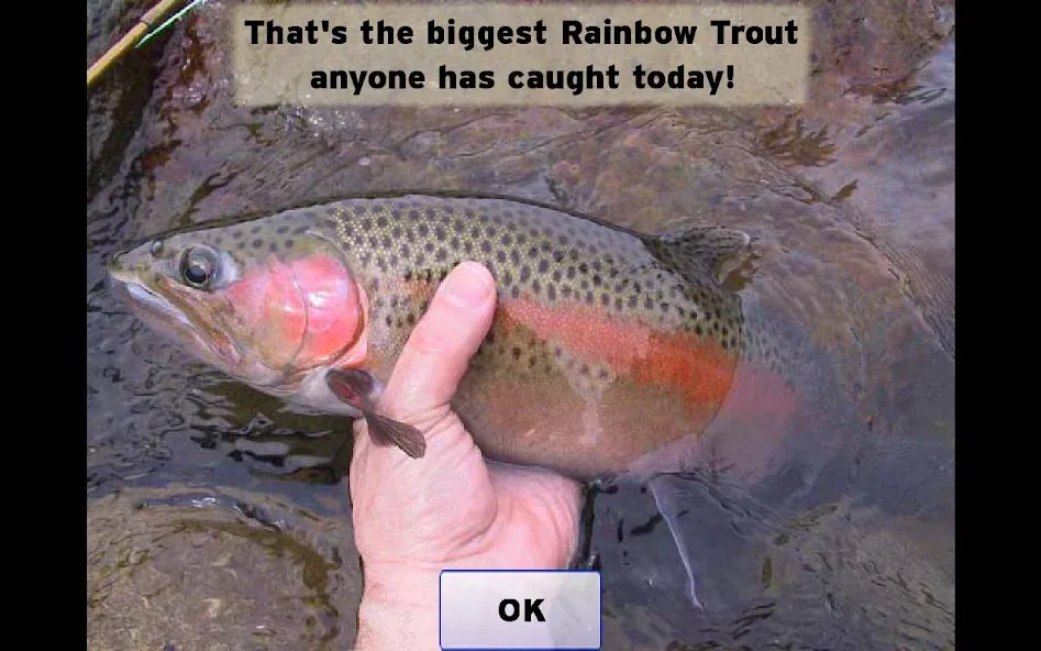 Fly Fishing Simulator (Флай Фишинг Симулятор)  [МОД Бесконечные деньги] Screenshot 5