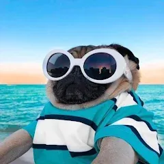 Взломанная 10000 words (десять тысяч)  [МОД Бесконечные монеты] - последняя версия apk на Андроид