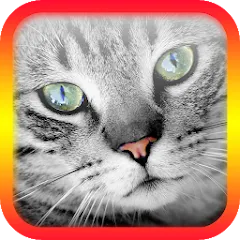 Взломанная Translator for Cats Prank  [МОД Много денег] - полная версия apk на Андроид
